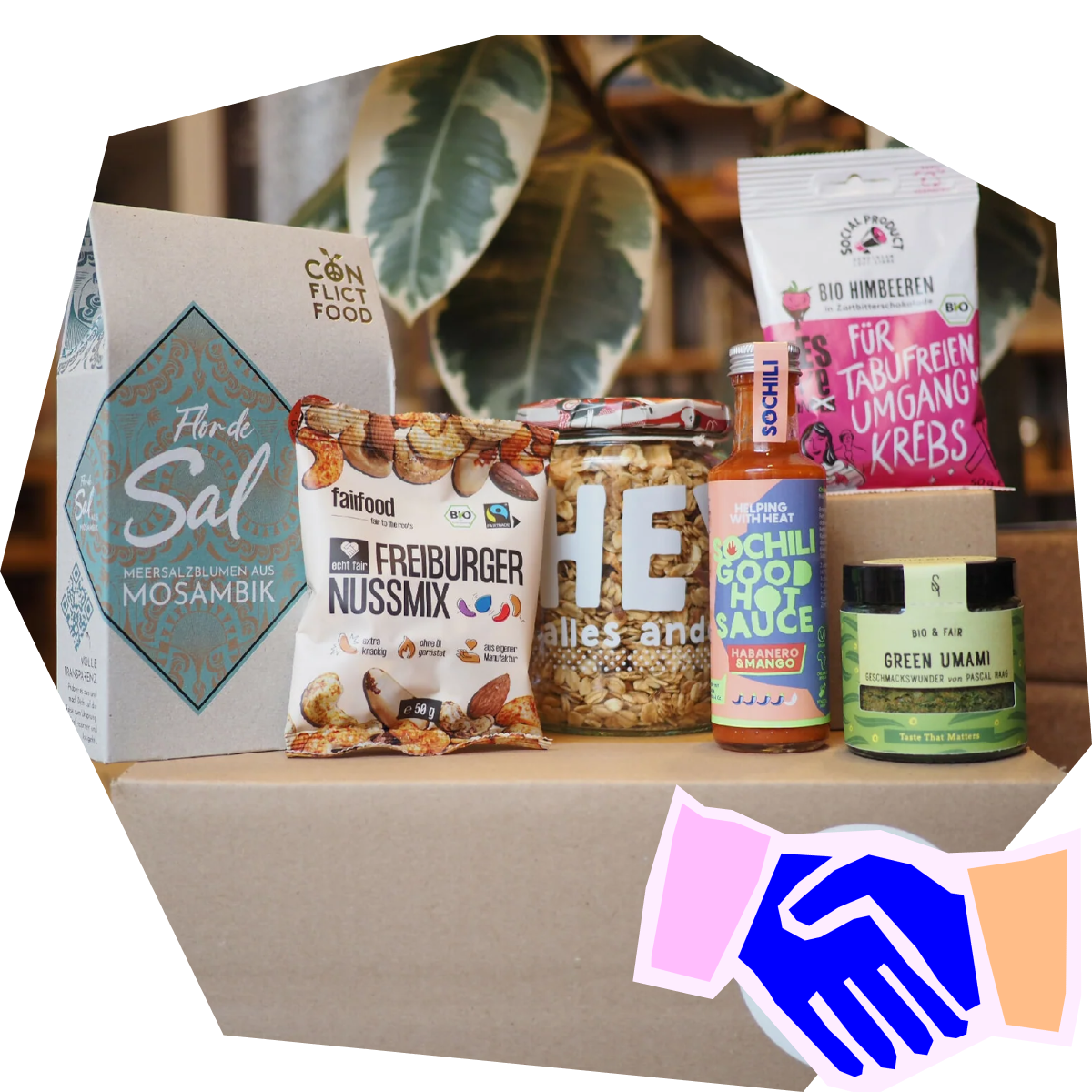 SOCHILI in der Flip-Box 🎁🎄