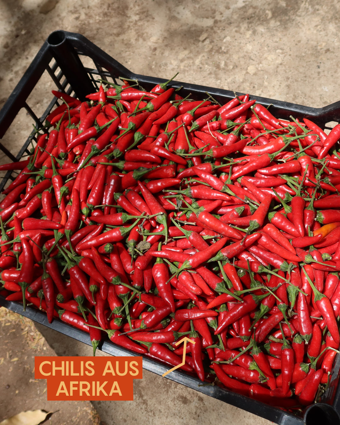 Huile de piment piquante
